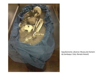 Sepultamento. (Acervo: Museu do Homem
do Sambaqui. Foto: Renato Hexsel)
 