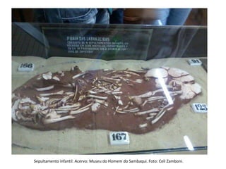 Sepultamento infantil. Acervo: Museu do Homem do Sambaqui. Foto: Celi Zamboni.
 