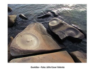 Guaiúba – Foto: Júlio Cesar Valente
 