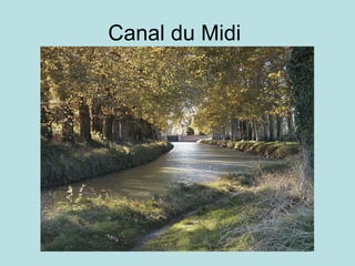 Canal du Midi  