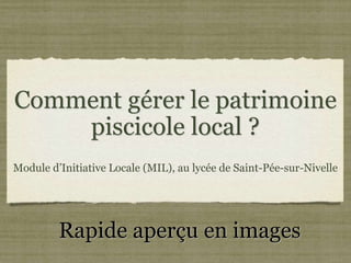 Comment gérer le patrimoine
piscicole local ?
Module d’Initiative Locale (MIL), au lycée de Saint-Pée-sur-Nivelle
Rapide aperçu en images
 