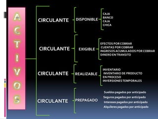 CAJA
                           BANCO
CIRCULANTE   DISPONIBLE    CAJA
                           CHICA




                          EFECTOS POR COBRAR
                           CUENTAS POR COBRAR
CIRCULANTE    EXIGIBLE    INGRESOS ACUMULADOS POR COBRAR
                          DINERO EN TRANSITO



                           INVENTARIO
CIRCULANTE   REALIZABLE     INVENTARIO DE PRODUCTO
                           EN PROCESO
                           INVERSIONES TEMPORALES


                           Sueldos pagados por anticipado
                           Seguros pagados por anticipado
CIRCULANTE   PREPAGADO     Intereses pagados por anticipado
                           Alquileres pagados por anticipado
 