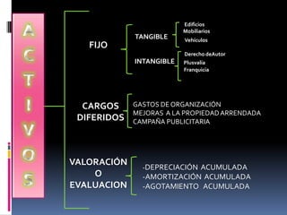 Edificios
                          Mobiliarios
             TANGIBLE     Vehículos
   FIJO
                          Derecho deAutor
             INTANGIBLE   Plusvalía
                          Franquicia




  CARGOS     GASTOS DE ORGANIZACIÓN
             MEJORAS A LA PROPIEDAD ARRENDADA
 DIFERIDOS   CAMPAÑA PUBLICITARIA




VALORACIÓN
               -DEPRECIACIÓN ACUMULADA
    O          -AMORTIZACIÓN ACUMULADA
EVALUACION     -AGOTAMIENTO ACUMULADA
 