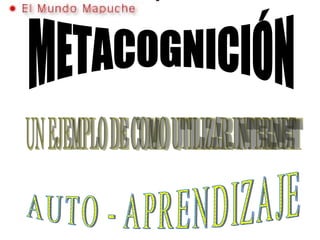 METACOGNICIÓN UN EJEMPLO DE COMO UTILIZAR INTERNET AUTO - APRENDIZAJE 