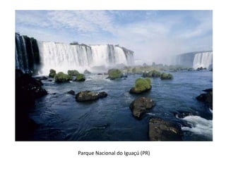 Parque Nacional do Iguaçú (PR)
 