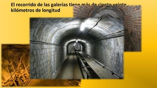 El recorrido de las galerías tiene más de ciento veinte
kilómetros de longitud

 