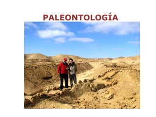 PALEONTOLOGÍA
 