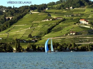 Patrimonio de-la-humanidad20-milespowerpoints.com