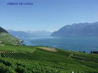 Patrimonio de-la-humanidad20-milespowerpoints.com