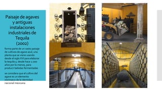 Paisaje de agaves
y antiguas
instalaciones
industriales de
Tequila
(2002)
forma parte de un vasto paisaje
de cultivos de agave azul, una
planta que se viene usando
desde el siglo XVI para elaborar
la tequila y, desde hace 2.000
años por lo menos, para
producir bebidas fermentadas
se considera que el cultivo del
agave es un elemento
intrínseco de la identidad
nacional mexicana
 