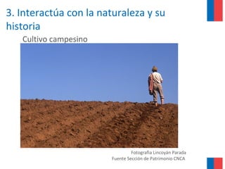 3. Interactúa con la naturaleza y su
historia
Fotografìa Lincoyán Parada
Fuente Sección de Patrimonio CNCA
Cultivo campesino
 