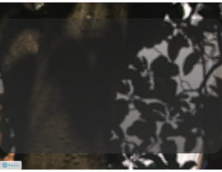 Patrimonio Cultural Quito