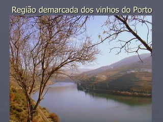 Região demarcada dos vinhos do Porto
 