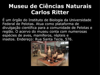 Museu de Ciências Naturais Carlos Ritter É um órgão do Instituto de Biologia da Universidade Federal de Pelotas. Atua como plataforma de divulgação científica para a comunidade de Pelotas e região. O acervo do museu conta com numerosas espécies de aves, mamíferos, répteis e insetos. Endereço: Rua Santa Tecla, 576.   