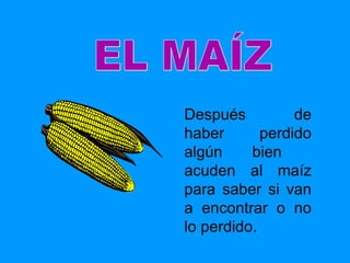 Después de haber perdido algún bien  acuden al maíz para saber si van a encontrar o no lo perdido. EL MAÍZ 