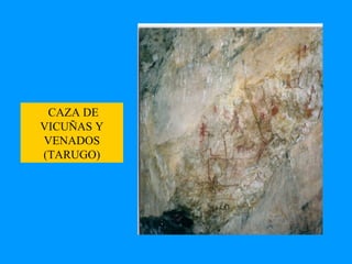 CAZA DE VICUÑAS Y VENADOS (TARUGO) 