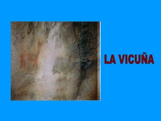LA VICUÑA 