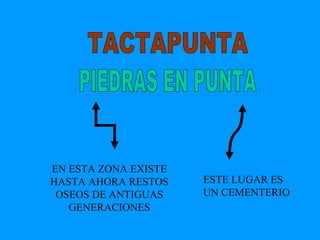 TACTAPUNTA EN ESTA ZONA EXISTE HASTA AHORA RESTOS OSEOS DE ANTIGUAS GENERACIONES ESTE LUGAR ES UN CEMENTERIO PIEDRAS EN PUNTA 