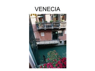 VENECIA
 