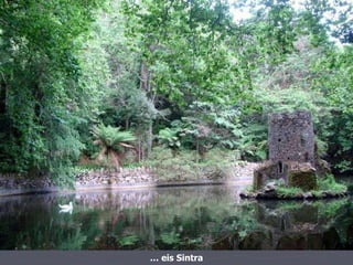 …  eis Sintra 