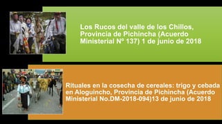 Los Rucos del valle de los Chillos,
Provincia de Pichincha (Acuerdo
Ministerial Nº 137) 1 de junio de 2018
Rituales en la cosecha de cereales: trigo y cebada
en Aloguincho, Provincia de Pichincha (Acuerdo
Ministerial No.DM-2018-094)13 de junio de 2018
 