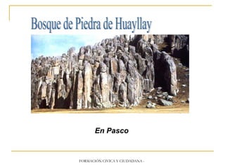 Bosque de Piedra de Huayllay En Pasco