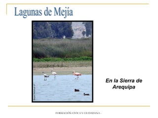 Lagunas de Mejía En la Sierra de Arequipa