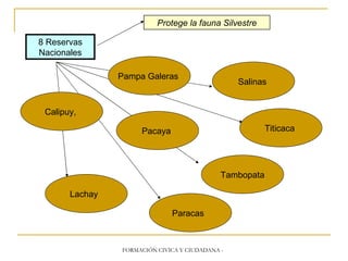 8 Reservas Nacionales Protege la fauna Silvestre Calipuy, Pampa Galeras Salinas Pacaya Lachay Tambopata Titicaca Paracas