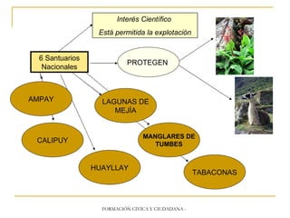 6 Santuarios Nacionales PROTEGEN Interés Científico Está permitida la explotación CALIPUY HUAYLLAY TABACONAS MANGLARES DE TUMBES LAGUNAS DE MEJÍA AMPAY