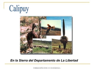 Calipuy En la Sierra del Departamento de La Libertad