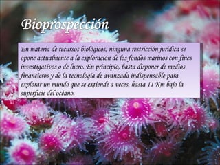 En materia de recursos biológicos, ninguna restricción jurídica se
opone actualmente a la exploración de los fondos marinos con fines
investigativos o de lucro. En principio, basta disponer de medios
financieros y de la tecnología de avanzada indispensable para
explorar un mundo que se extiende a veces, hasta 11 Km bajo la
superficie del océano.
 