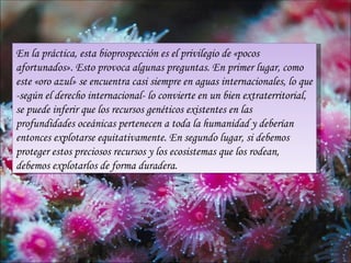 En la práctica, esta bioprospección es el privilegio de «pocos
afortunados». Esto provoca algunas preguntas. En primer lugar, como
este «oro azul» se encuentra casi siempre en aguas internacionales, lo que
-según el derecho internacional- lo convierte en un bien extraterritorial,
se puede inferir que los recursos genéticos existentes en las
profundidades oceánicas pertenecen a toda la humanidad y deberían
entonces explotarse equitativamente. En segundo lugar, si debemos
proteger estos preciosos recursos y los ecosistemas que los rodean,
debemos explotarlos de forma duradera.
 