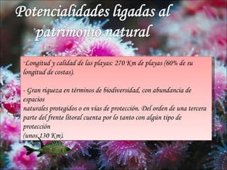 -Longitud y calidad de las playas: 270 Km de playas (60% de su
longitud de costas).

- Gran riqueza en términos de biodiversidad, con abundancia de
espacios
naturales protegidos o en vías de protección. Del orden de una tercera
parte del frente litoral cuenta por lo tanto con algún tipo de
protección
(unos 130 Km).
 