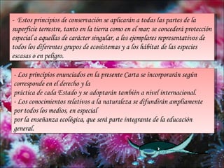 - Estos principios de conservación se aplicarán a todas las partes de la
superficie terrestre, tanto en la tierra como en el mar; se concederá protección
especial a aquellas de carácter singular, a los ejemplares representativos de
todos los diferentes grupos de ecosistemas y a los hábitat de las especies
escasas o en peligro.

- Los principios enunciados en la presente Carta se incorporarán según
corresponde en el derecho y la
práctica de cada Estado y se adoptarán también a nivel internacional.
- Los conocimientos relativos a la naturaleza se difundirán ampliamente
por todos los medios, en especial
por la enseñanza ecológica, que será parte integrante de la educación
general.
 