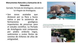 Monumentos Naturales y Santuarios de la
Naturaleza
Ejemplo: Portada de Antofagasta, ubicada en
la II Región de Antofagasta.
• Son zonas acotadas que
destacan por su flora y fauna
nativa o por la existencia de
formaciones geológicas
importantes de preservar para
el estudio científico. La Portada
de Antofagasta está compuesta
por piedra andesita negra,
sedimentos y restos fósiles de
conchas de millones de años de
antigüedad.
 