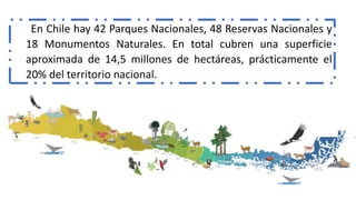 En Chile hay 42 Parques Nacionales, 48 Reservas Nacionales y
18 Monumentos Naturales. En total cubren una superficie
aproximada de 14,5 millones de hectáreas, prácticamente el
20% del territorio nacional.
 