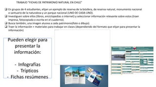 TRABAJO “FICHAS DE PATRIMONIO NATURAL EN CHILE”
 En grupos de 4 estudiantes, elijan un ejemplo de reserva de la biósfera, de reserva natural, monumento nacional
o santuario de la naturaleza y un parque nacional (UNO DE CADA UNO).
 Investiguen sobre ellos (libros, enciclopedias o internet) y seleccionar información relevante sobre estos (traer
impresa, fotocopiada o escrita en el cuaderno).
 Busca también, una imagen alusiva a cada patrimonio(foto o dibujo).
 Traer la información + materiales para trabajar en clases (dependiendo del formato que elijan para presentar la
información)
Pueden elegir para
presentar la
información:
- Infografías
- Trípticos
- Fichas resúmenes
 
