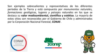 Son ejemplos sobresalientes y representativos de los diferentes
períodos de la Tierra y está compuesto por monumentos naturales,
formaciones geológicas, lugares y paisajes naturales en los que se
destaca su valor medioambiental, científico y estético. La mayoría de
estos sitios son reconocidos por el Gobierno de Chile y administrados
por la Corporación Nacional Forestal, CONAF.
 