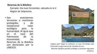 Reservas de la Biósfera
Ejemplo: Isla Juan Fernández, ubicada en la V
Región de Valparaíso.
• Son ecosistemas
terrestres o marítimos
protegidos y de
excepcional valor
ecológico para la
humanidad. Al igual que
en el caso del
Patrimonio de la
Humanidad, las
Reservas de la Biósfera
son declaradas por la
UNESCO.
¿Sabías qué? Según la tradición, en Juan Fernández está
enterrado un gran tesoro de monedas de oro.
Reservar significa guardar, proteger y conservar algo para
el futuro.
 