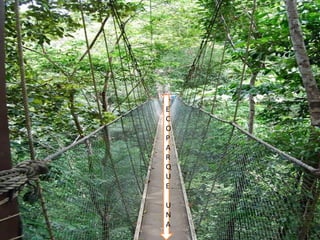 E
C
O
P
A
R
Q
U
E

U
N
A
 