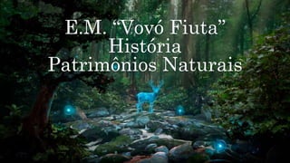 E.M. “Vovó Fiuta”
História
Patrimônios Naturais
 