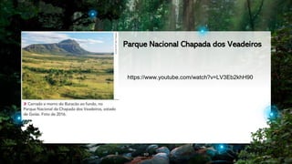 10
https://www.youtube.com/watch?v=LV3Eb2khH90
Parque Nacional Chapada dos Veadeiros
 