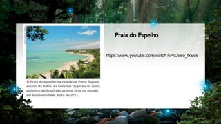 5
https://www.youtube.com/watch?v=ID9eo_fxEos
Praia do Espelho
 