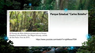 6
https://www.youtube.com/watch?v=zjbRkeoeTEM
Parque Estadual “Carlos Botelho”
 
