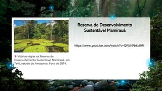 8
https://www.youtube.com/watch?v=QRdNNrkbl9M
Reserva de Desenvolvimento
Sustentável Mamirauá
 