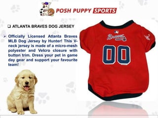 Patriots dog jersey