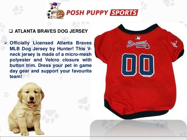atlanta braves pet jersey