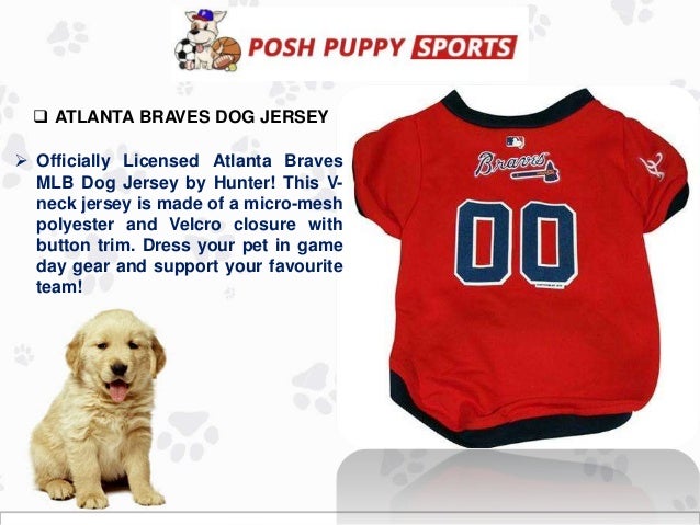 braves dog jersey