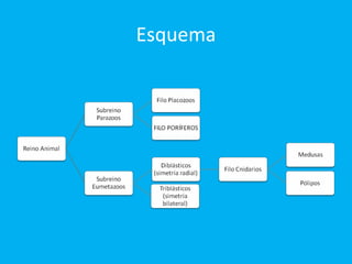 Esquema 