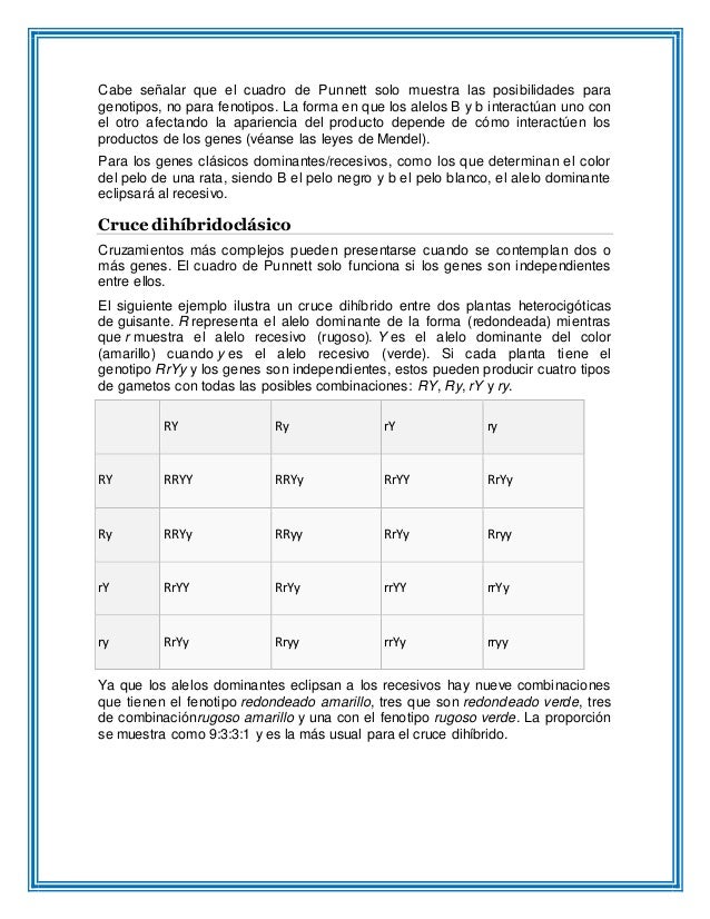 Como Hacer Un Cuadro Sinoptico En Word Lucidchart